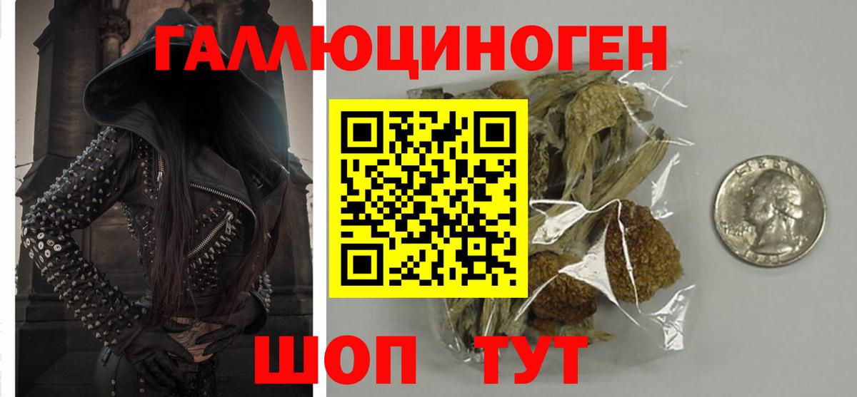 Псилоцибиновые грибы Cubensis Кингисепп